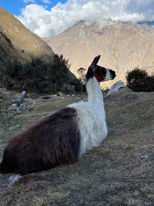 Providence Farm Peak Experience trip to Peru